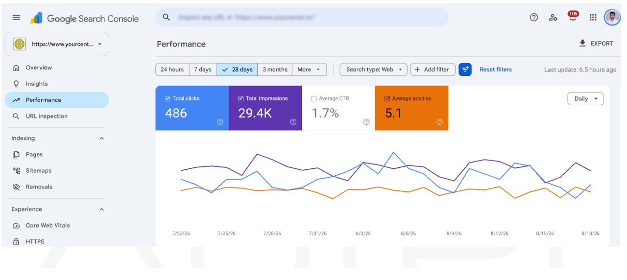 SEO Search Performance Campaign