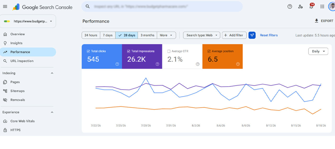 Budget Pharmacare SEO Search Performance